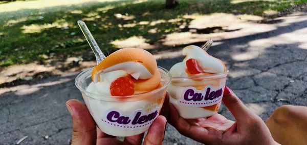 CA LEM Crèmerie Creamery (NDG) ice cream by null