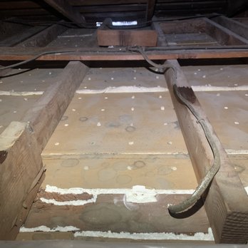 Attic Advisor - During 2 - after cleanup/sealing/sanitizing - Insulation Installation Near Me - Laguna Hills, California