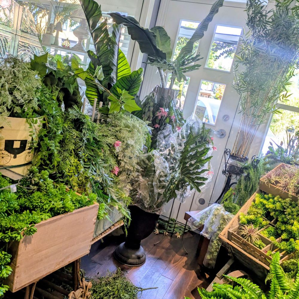 Trims - Greenery throughout the entire store! - Flowers & Gifts Near Me - North Vancouver, British Columbia Trims - Greenery throughout the entire store! - Flowers & Gifts Near Me - North Vancouver, British Columbia
