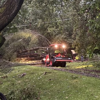 Phillips Tree Service - Tree Services Near Me - Freeville, New York Phillips Tree Service - Tree Services Near Me - Freeville, New York