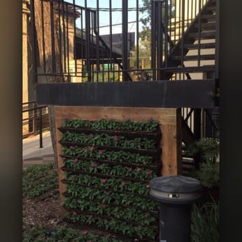 KC Quality Landscaping - This was another shot to the back entrance of Fat Rabbit. Just look at that good looking hard work that is been done.  Fun! - Landscaping Near Me - Garland, Texas
