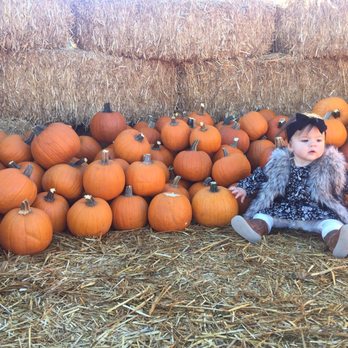 Bates Nut Farm - Specialty Food Near Me - Valley Center, California