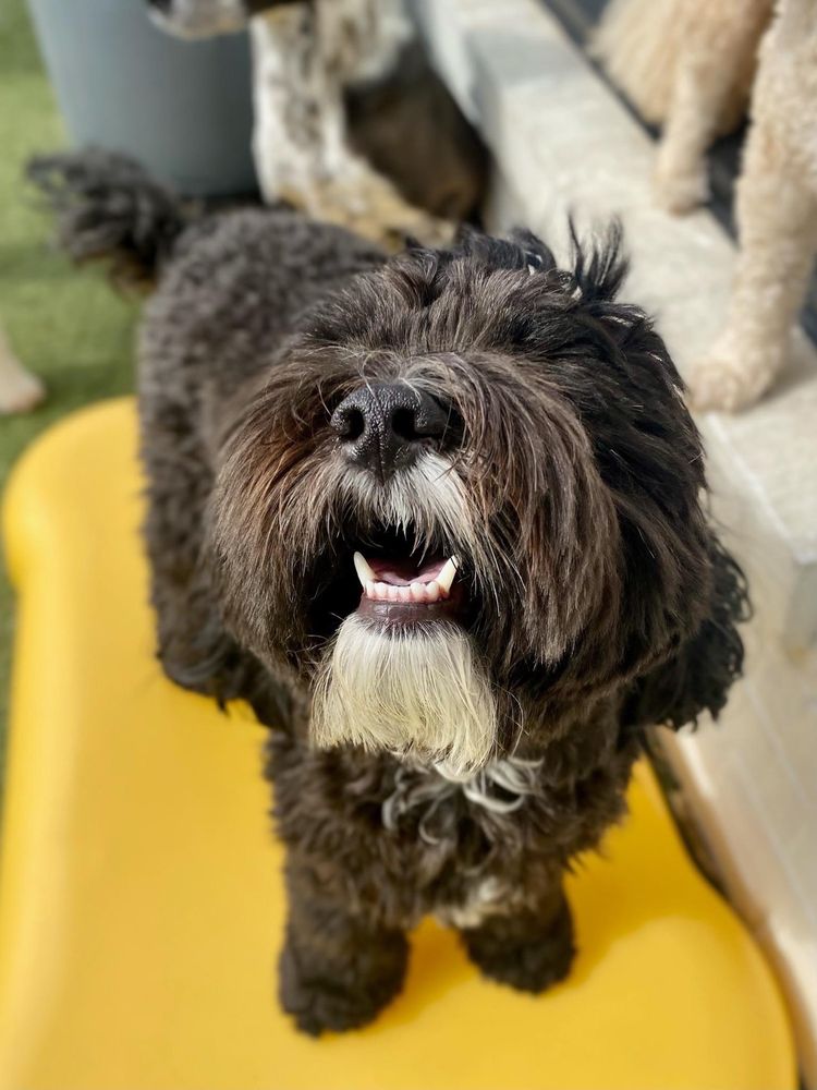 TOBY TOWN RVA Updated August 2024 2100 Maywill St, Richmond