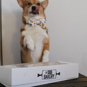 The Dog Bakery - Pet Stores Near Me - Pasadena, California The Dog Bakery - Pet Stores Near Me - Pasadena, California