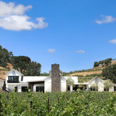 Baldacci Family Vineyards by null