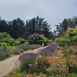Green Gulch Farm Zen Center