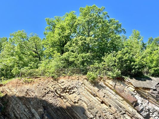 Hot Springs National Park by null