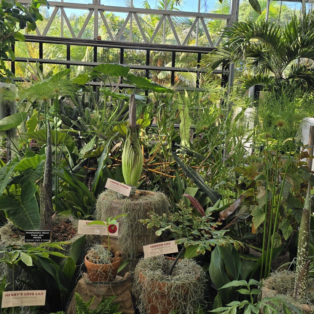 San Diego Botanic Garden - Botanical Gardens Near Me - Encinitas, California