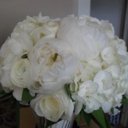 Bucks County Nursery - Wedding bouquet from bucks county nursery...dec 2016