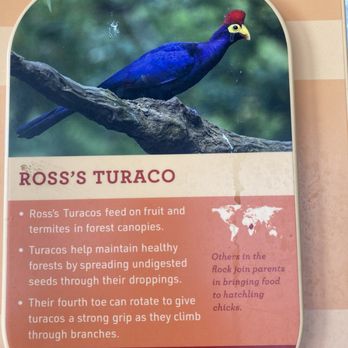 Audubon Zoo - Inside bird exhibit - Aquariums Near Me - New Orleans, Louisiana
