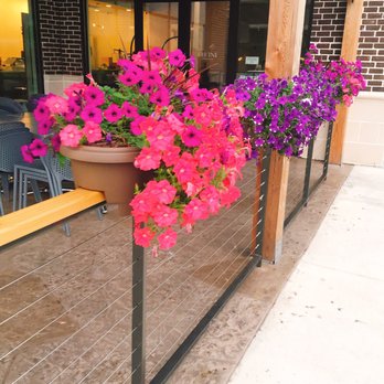 Divine Coffee - flowers - Coffee & Tea Near Me - Johns Creek, Georgia Divine Coffee - flowers - Coffee & Tea Near Me - Johns Creek, Georgia