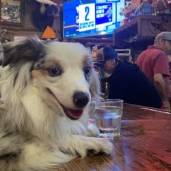 Round Up Saloon - Always good boys.