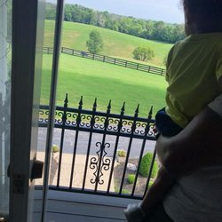 Meadowview Estate - Upstairs Views