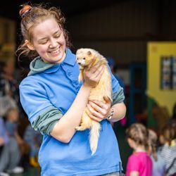 Cantef Adventure Farm - Meet the ferrets at Cantref