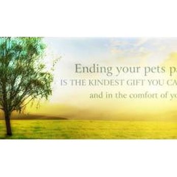 Twilight - Well Pets - Veterinarians Near Me - Noblesville, Indiana Twilight - Well Pets - Veterinarians Near Me - Noblesville, Indiana