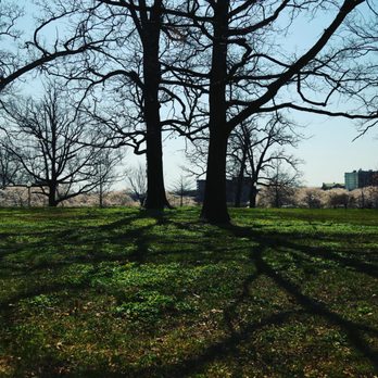 Druid Hill Park - Parks Near Me - Baltimore, Maryland
