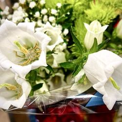 Food4Less - Art in bloom  March 2026