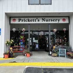 Prickett's Nursery -Santa Rosa - So much great stuff!