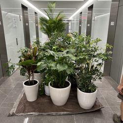 Ivy League - A major interior install begins in Manhattan