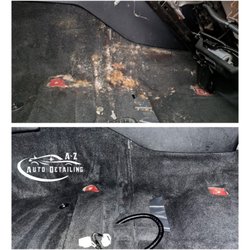 A-Z Auto Detailing - Mold remediation