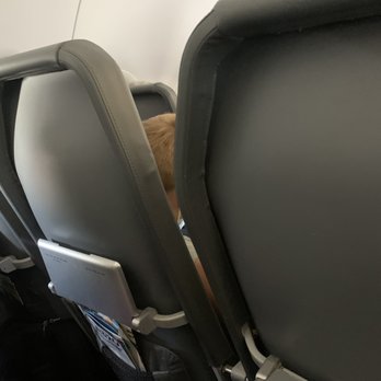Frontier Airlines - Trays can't even hold a drink, they are so small. - Airlines Near Me - Orlando, Florida