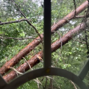 AAA Tree Service - Tree Services Near Me AAA Tree Service - Tree Services Near Me