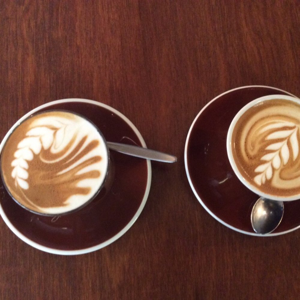 Lamason - The Cafe I love the most and I can not stop bringing every friend there to taste their brilliant coffee. - Coffee & Tea Near Me - Wellington, WGN Lamason - The Cafe I love the most and I can not stop bringing every friend there to taste their brilliant coffee. - Coffee & Tea Near Me - Wellington, WGN