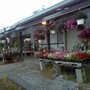 Photo of Green Shades Garden Center