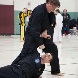 American Free Spirit Karate Association