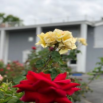 Warm Wishes Funeral Services - #warmwishesfuneral #warmwishesfuneralservices https://g.page/r/CQ2US1Hlx6SpEBA - Cremation Services Near Me - Garden Grove, California Warm Wishes Funeral Services - #warmwishesfuneral #warmwishesfuneralservices https://g.page/r/CQ2US1Hlx6SpEBA - Cremation Services Near Me - Garden Grove, California