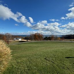 View View