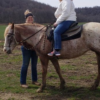 The Spotted Horse Ranch - Penny and Wrangler Joey - Venues & Event Spaces Near Me - Laurelville, Ohio The Spotted Horse Ranch - Penny and Wrangler Joey - Venues & Event Spaces Near Me - Laurelville, Ohio
