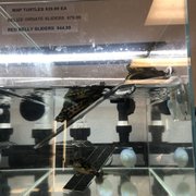 PREDATOR’S REPTILE CENTER - 65 Photos & 96 Reviews - Pet Stores - 1816