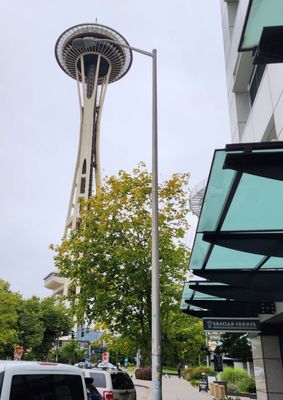 Milkvue & DIY tea lab by null