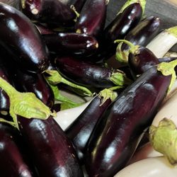 Eggplants