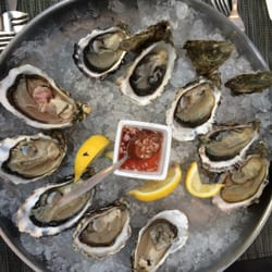 Vuur - Oysters again