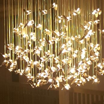 Kimpton Gray Hotel - A beautiful butterfly chandelier on the 15th floor. - Venues & Event Spaces Near Me - Chicago, Illinois Kimpton Gray Hotel - A beautiful butterfly chandelier on the 15th floor. - Venues & Event Spaces Near Me - Chicago, Illinois