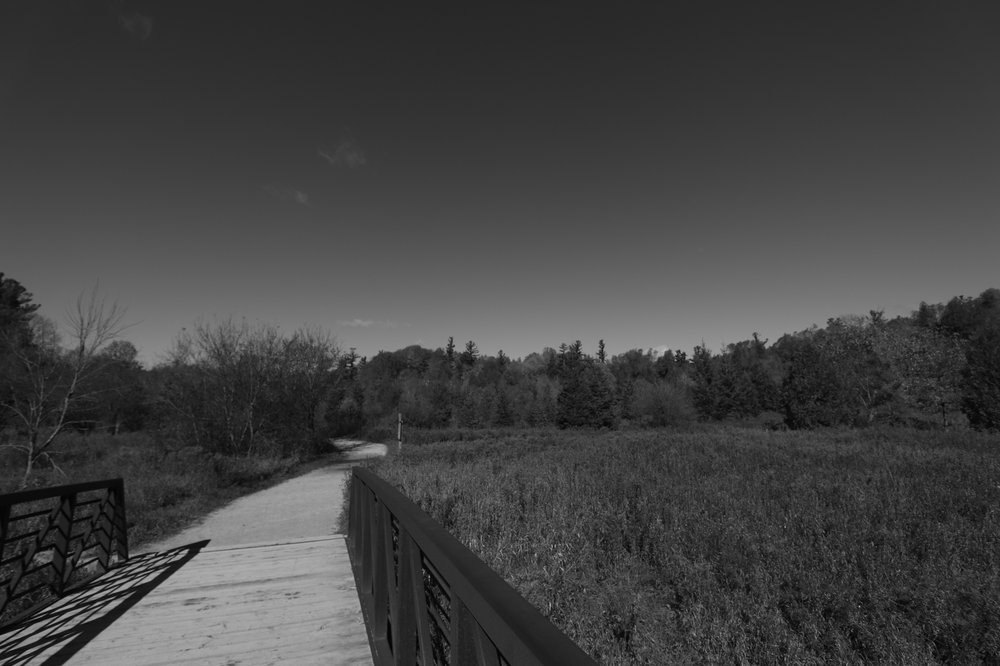 BINDERTWINE PARK Updated August 2024 34 Photos 299 Stegman's Mill