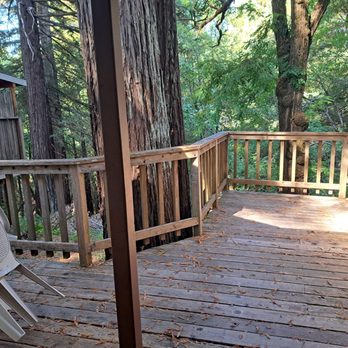 Miranda Gardens Resort - View of the redwoods from the rear deck - Resorts Near Me - Miranda, California