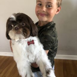 A well groomed Oreo A well groomed Oreo