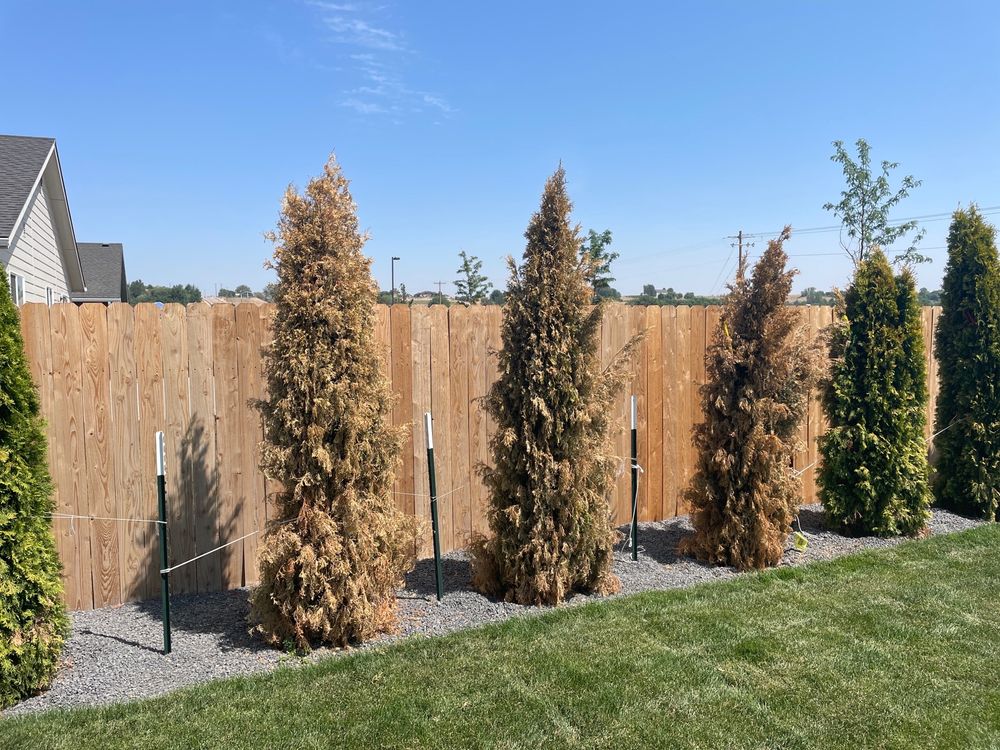 JAYKER REWHOLESALE NURSERY Updated June 2024 6485 Joplin Rd, Nampa