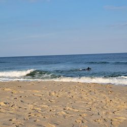 Luna Mar Motel Gift Card