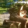 Photo of Presto Landscape & Tree Services