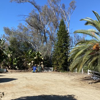 Phillip's Tree Service - Tree Services Near Me - Vista, California Phillip's Tree Service - Tree Services Near Me - Vista, California