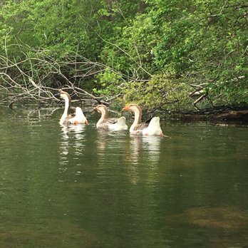 Peconic Paddler - Boating Near Me - Riverhead, New York