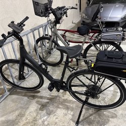 Trek Bike Shop of Naples - 2025 - Verve 3 LS Gen 5 Matt Black