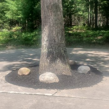 Fresh Start Yard - New black mulch - Gutter Services Near Me - Indian River, Michigan Fresh Start Yard - New black mulch - Gutter Services Near Me - Indian River, Michigan