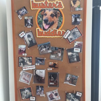Some Crust Bakery - Buster's Buddies! - Bakeries Near Me - Claremont, California Some Crust Bakery - Buster's Buddies! - Bakeries Near Me - Claremont, California