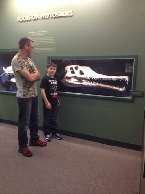 Sam Noble Oklahoma Museum of Natural History by null