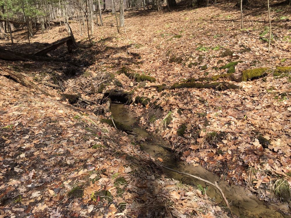 LISHA KILL NATURE PRESERVE Updated October 2024 37 Photos 2518 Rosendale Rd, Niskayuna